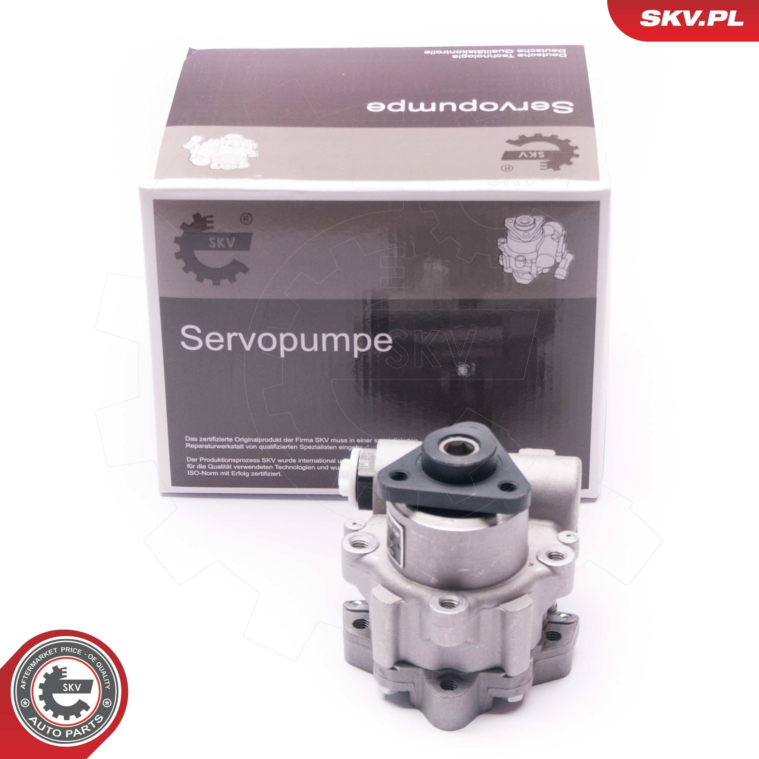 10SKV233 SKV